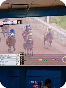 A television screen displays a live horse race with five horses running on a dirt track. The bottom of the screen shows horse names, odds, and race statistics for the Maryland Jockey Club.